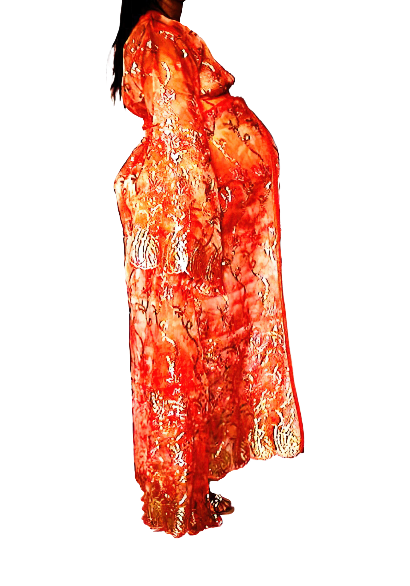 Le Corps Pansant - 2009